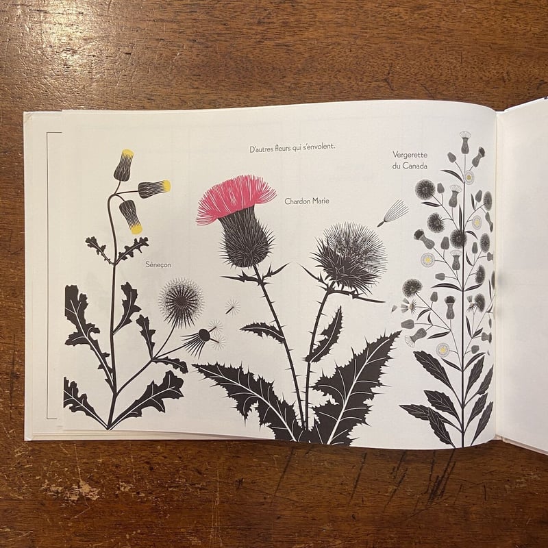 Plantes Vagabondes」Emilie Vast（エミリー・ヴァスト） | Fr