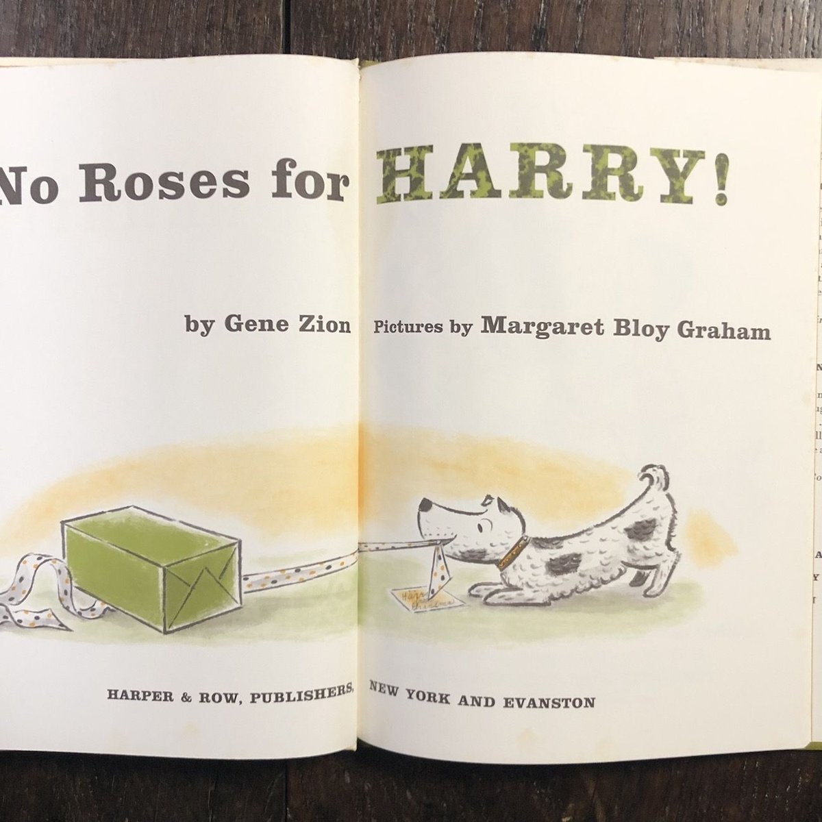 No Roses for HARRY!」Gene Zion（ジーン・ジオン） Margare