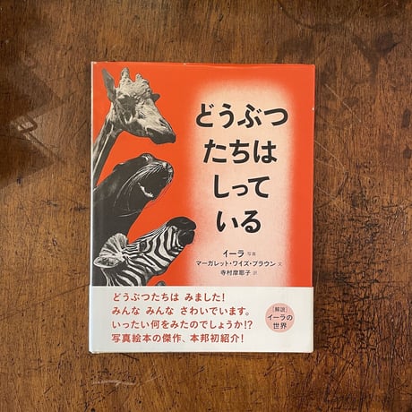 「どうぶつたちはしっている」マーガレット・ワイズ・ブラウン 文　イーラ 写真