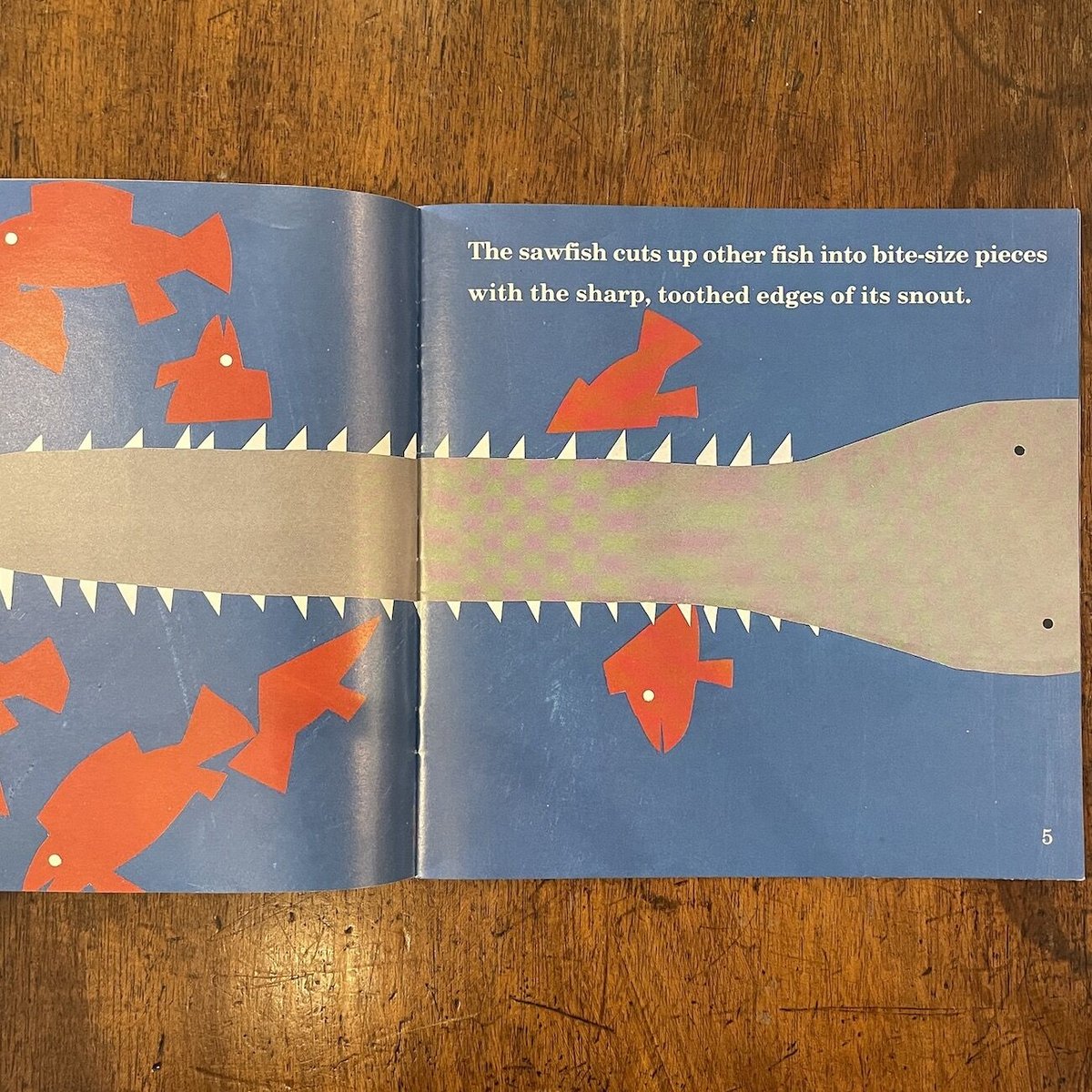 Fishy Facts」Ivan Chermayeff（アイヴァン・チャマイエフ） | Fr