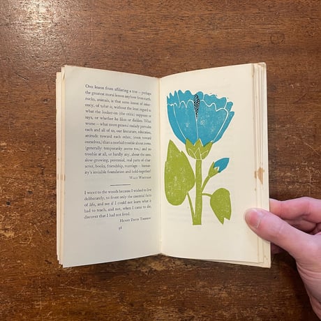 「Nature Thoughts：A Selection」Louise Bachelder　Eric Carle（エリック・カール）