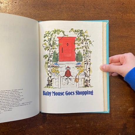「Baby Mouse Goes Shopping」Catherine Chase　Jill Elgin