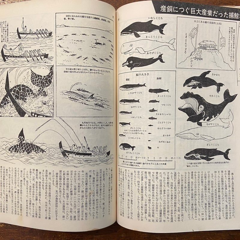 マンガ日本史：学校では教えない日本人の生活と技術」市川正徳 編 阪本