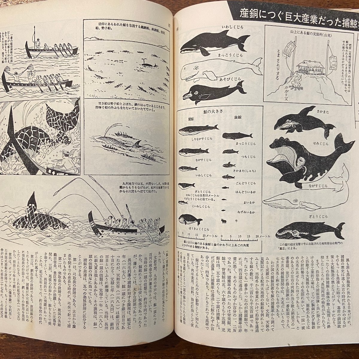 マンガ日本史：学校では教えない日本人の生活と技術」市川正徳 編 阪本