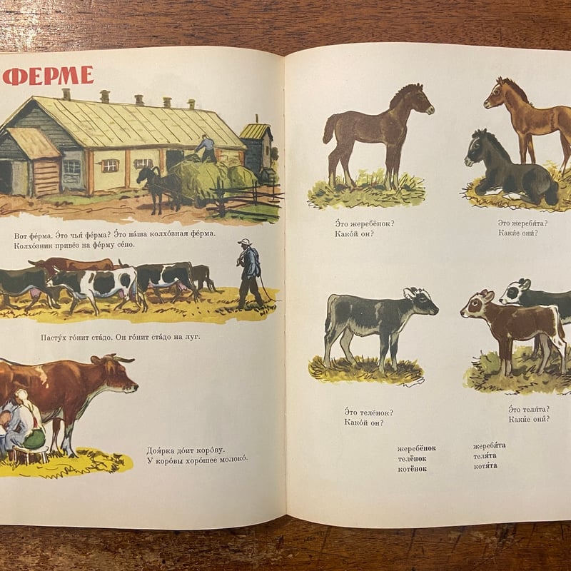 РУССКИЙ ЯЗЫК В КАРТИНКАХ（絵で見るロシア語）」И. В. БАРАН