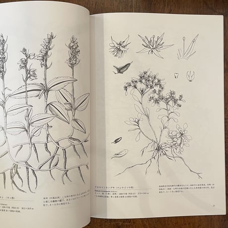 「牧野富太郎植物画集」