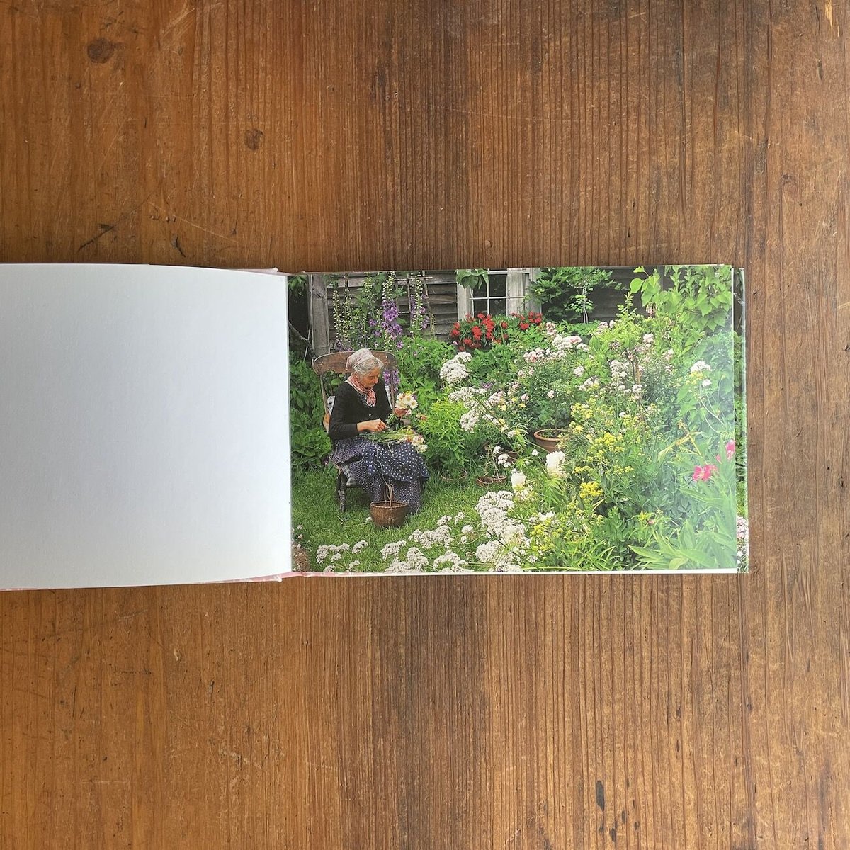 fit=scale-down,w=1200