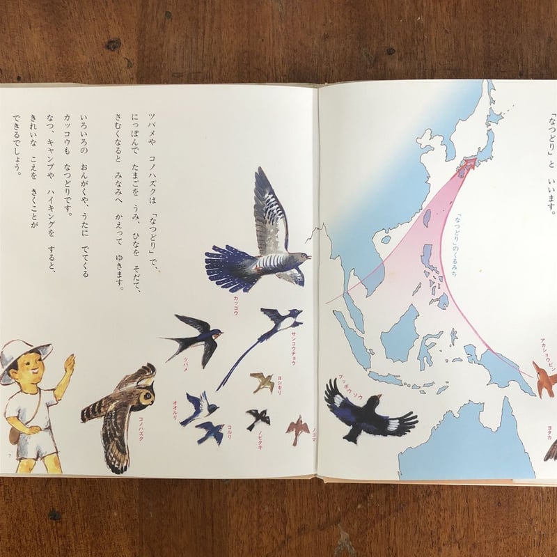 つかまえられたことりちゃん かこさとし 絵本 つかまえられたことりちゃん」かこさとし | Frobergue online store