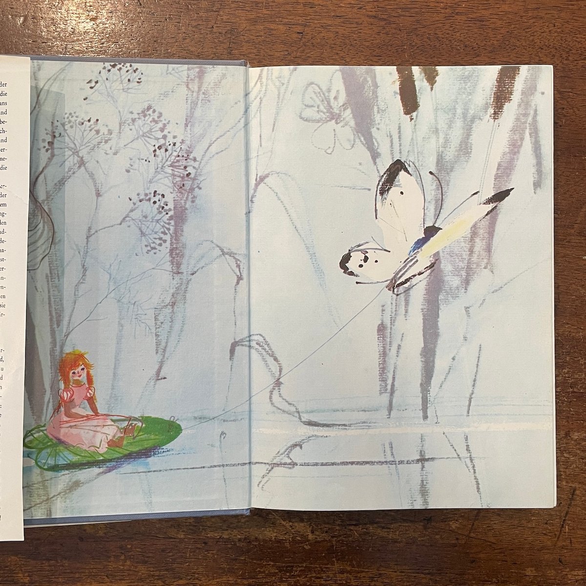 ヤン・シュミット Jan Schmid Ladislav Dvorsky 絵本. tld.jpg