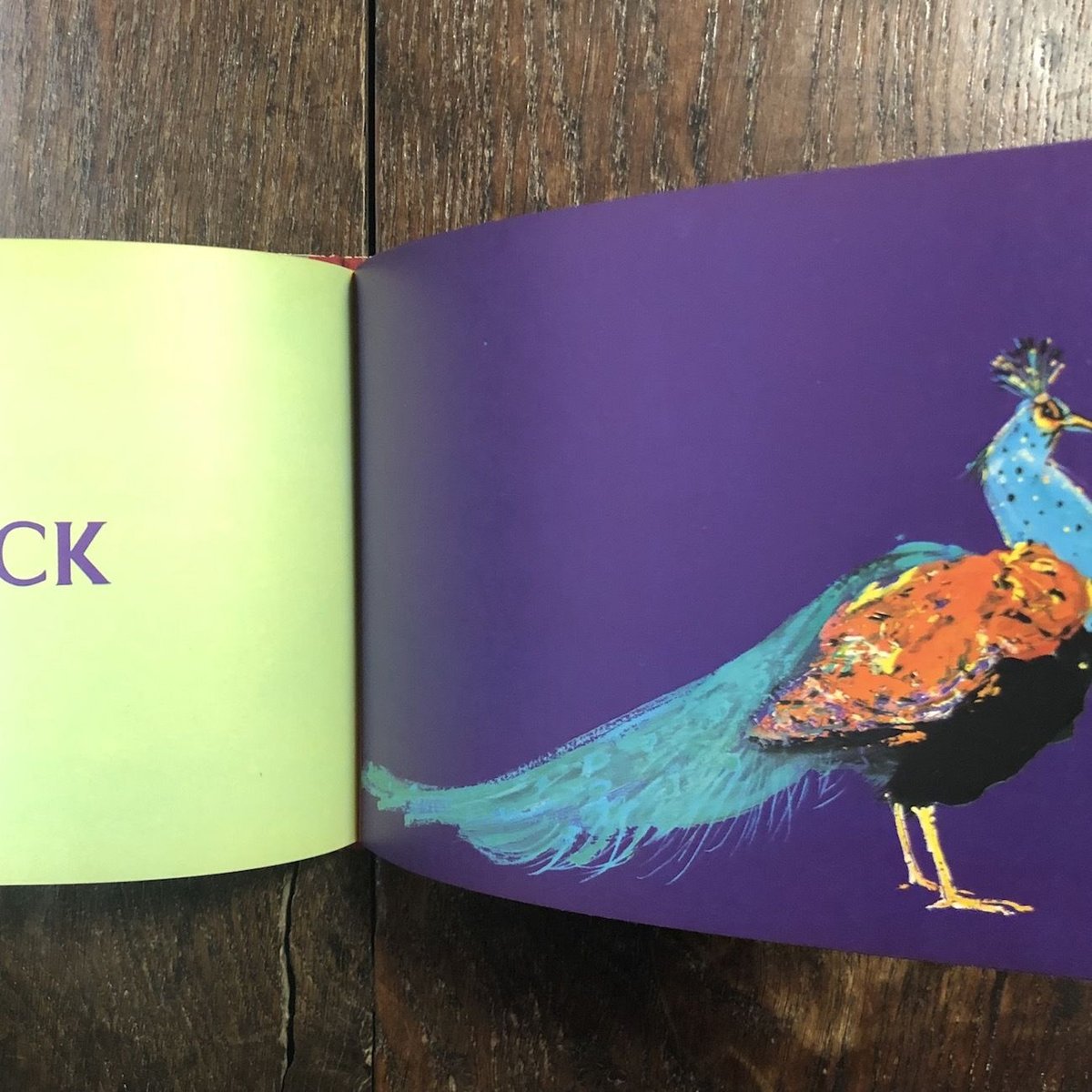 ブライアン・ワイルドスミス ブライアン・ワイルドスミス Brian Wildsmith - new&used vintage