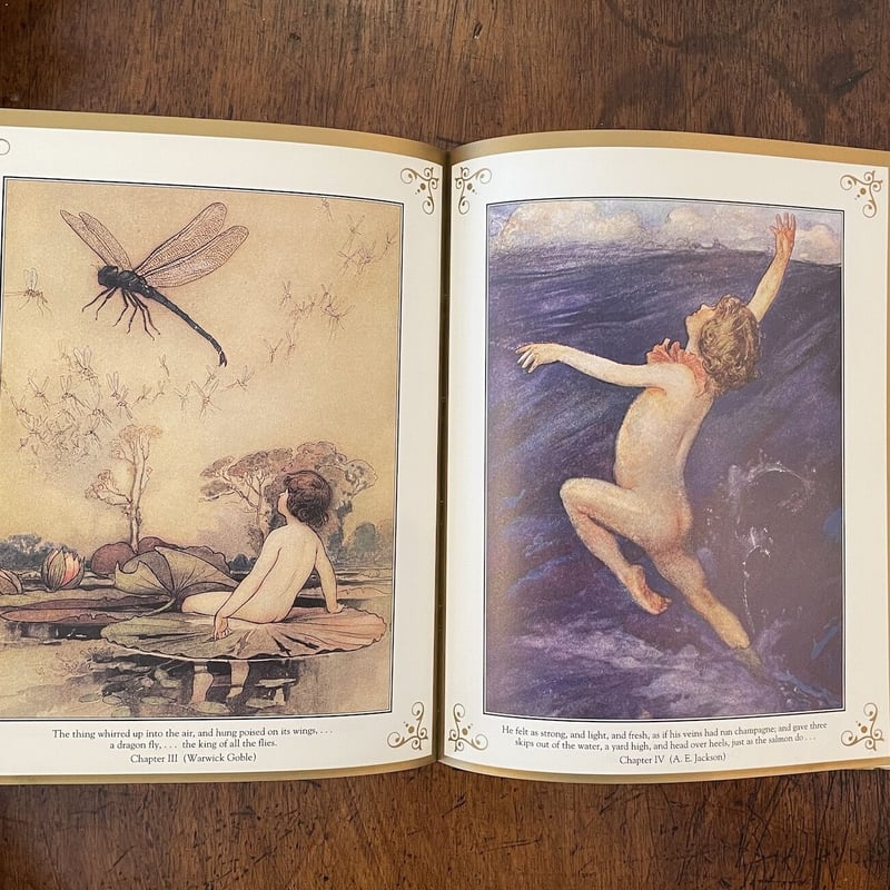 The Water-Babies⠀ジェシー・ウィルコックス・スミス　アンティーク THE WATER BABIES」Charles Kingsley Jessie Willc