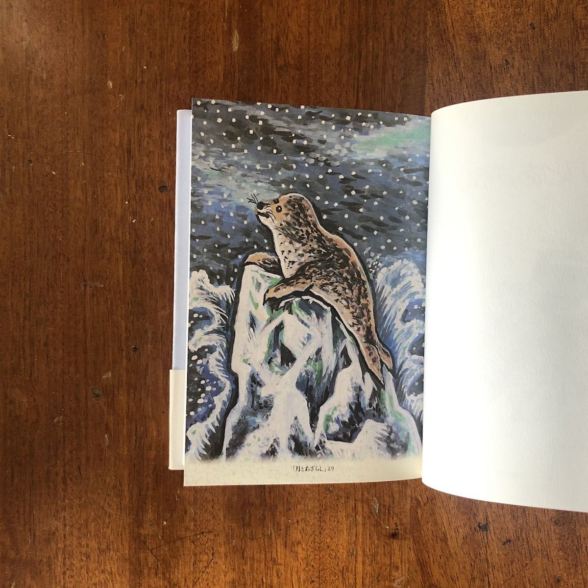 浅見蘇山 作品集 二冊 非常階段東京 Tokyo Twilight Zone｜青幻舎 SEIGENSHA Art