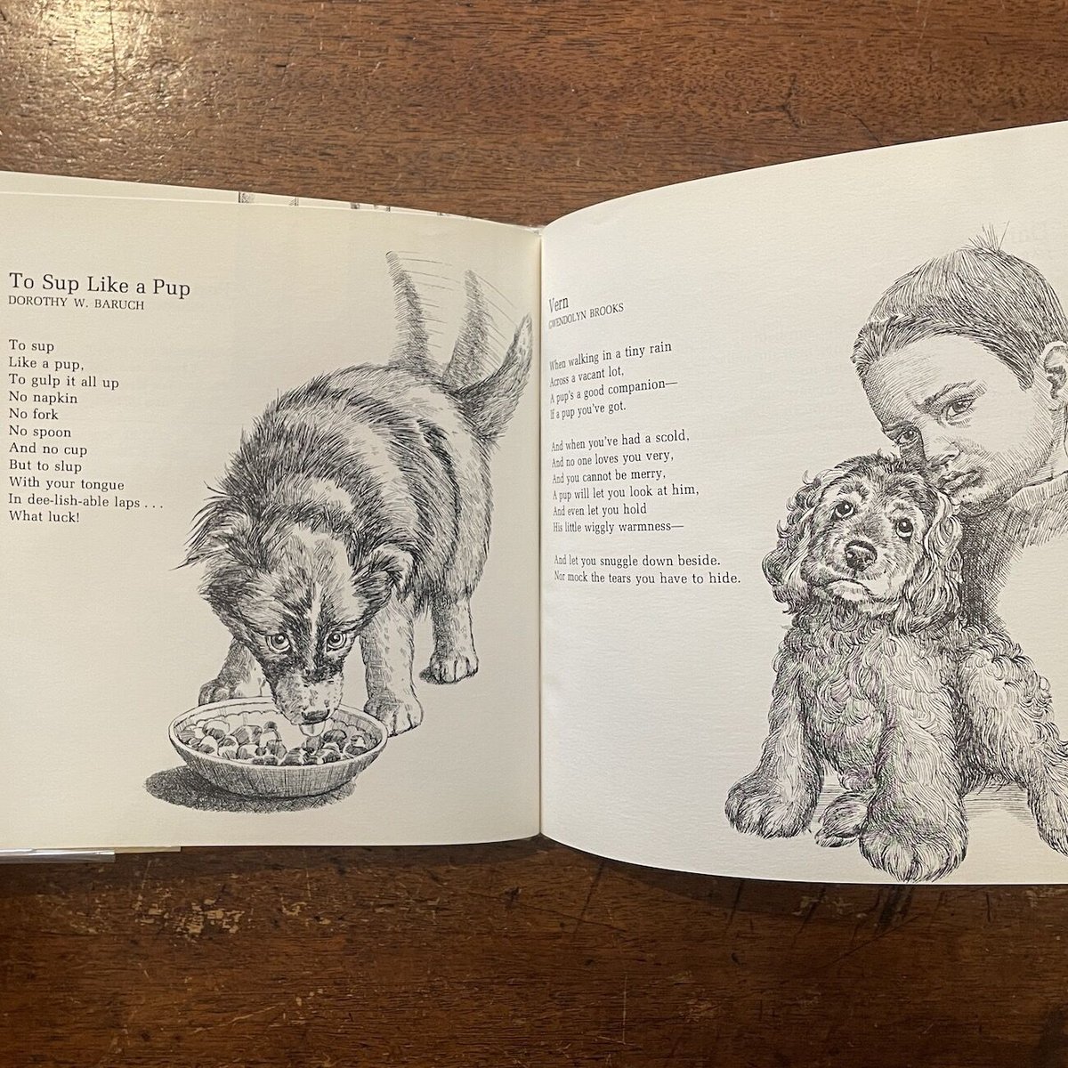 A Dog's Life」Lee Bennett Hopkins Linda Rochest