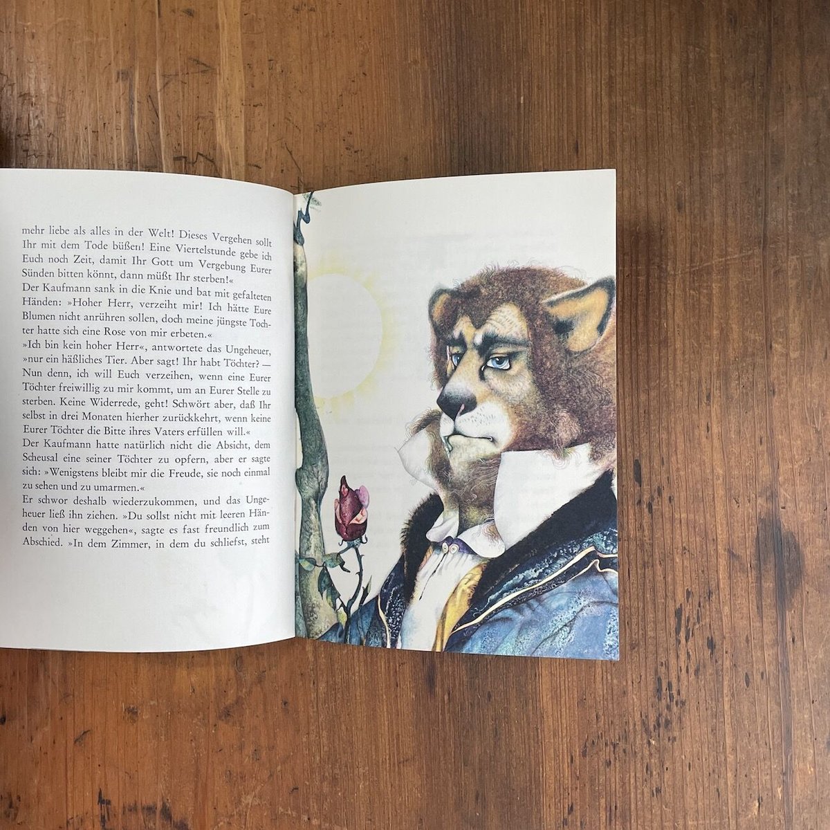 「ダマヌールの科学が導き出す真実」フェニーチェ・フェルチェ [DVD] Die Schone und das Tier（美女と野獣）」Ludek Manasek（ル