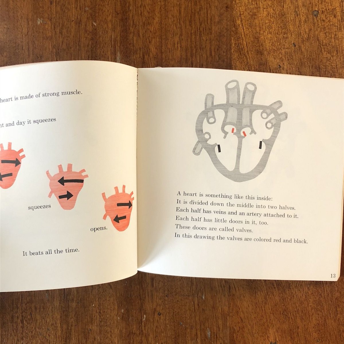 Hear Your Heart」Paul Showers Joseph Low | Frob