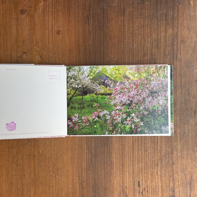 ターシャ・テューダーの花のポストカードブック」 | Frobergue online