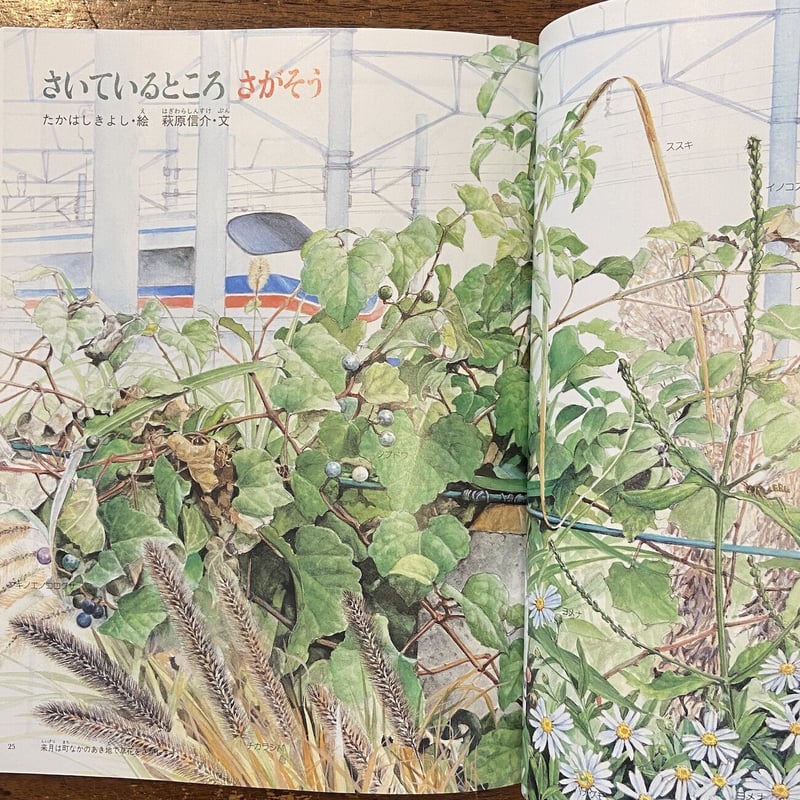 おおきなポケット 1993年10月号」長新太 佐々木マキ 他 | Frobergue on