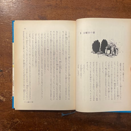 「サティン入江のなぞ」フィリパ・ピアス
