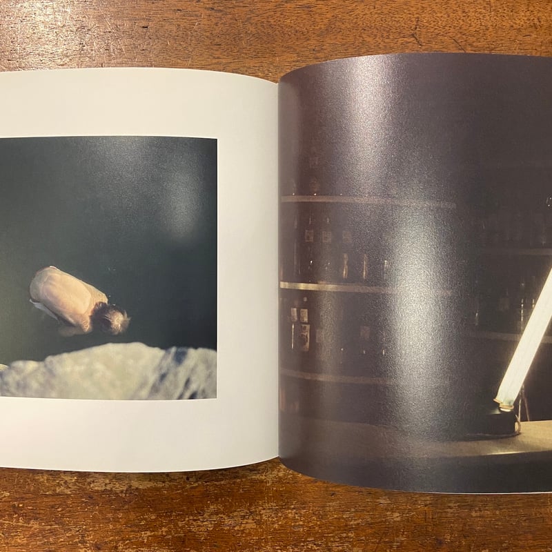 Far Too Close」Martina Hoogland Ivanow | Frober