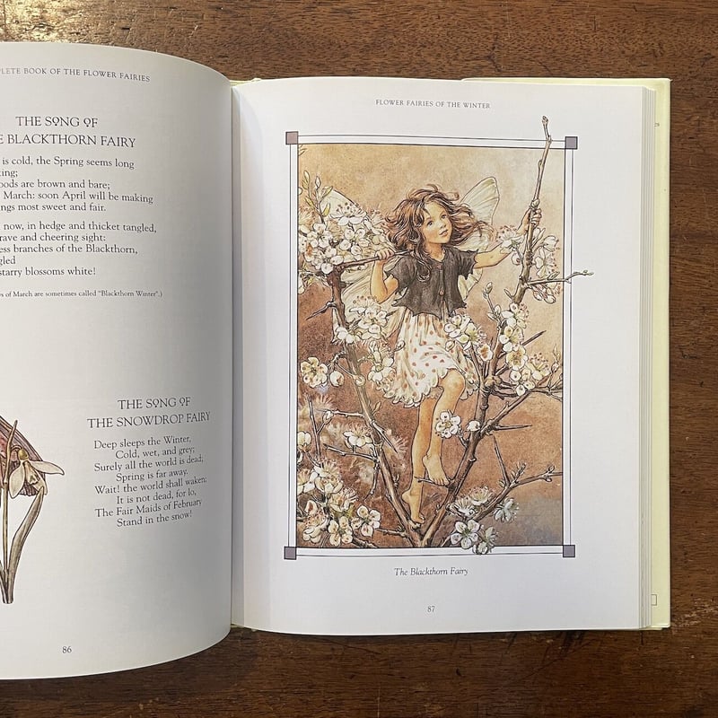 THE COMPLETE BOOK OF THE FLOWER FAIRIES」Cicely