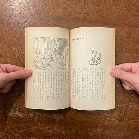 「メキシコの嵐　上・下巻」カルル・ブルックナー 作　向井潤吉 挿絵　北条元一 訳