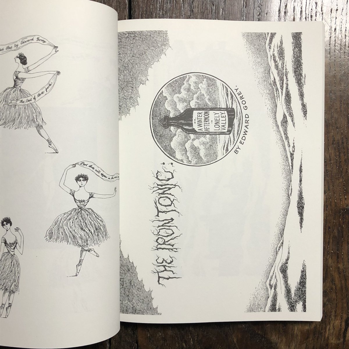 Amphigorey / Edward Gorey　エドワード・ゴーリー 0000000008242.jpg