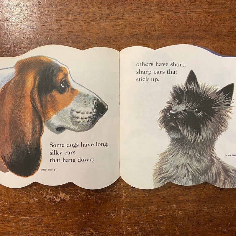 THE DOG BOOK：A GOLDEN SHAPE BOOK」Jan Pfloog |