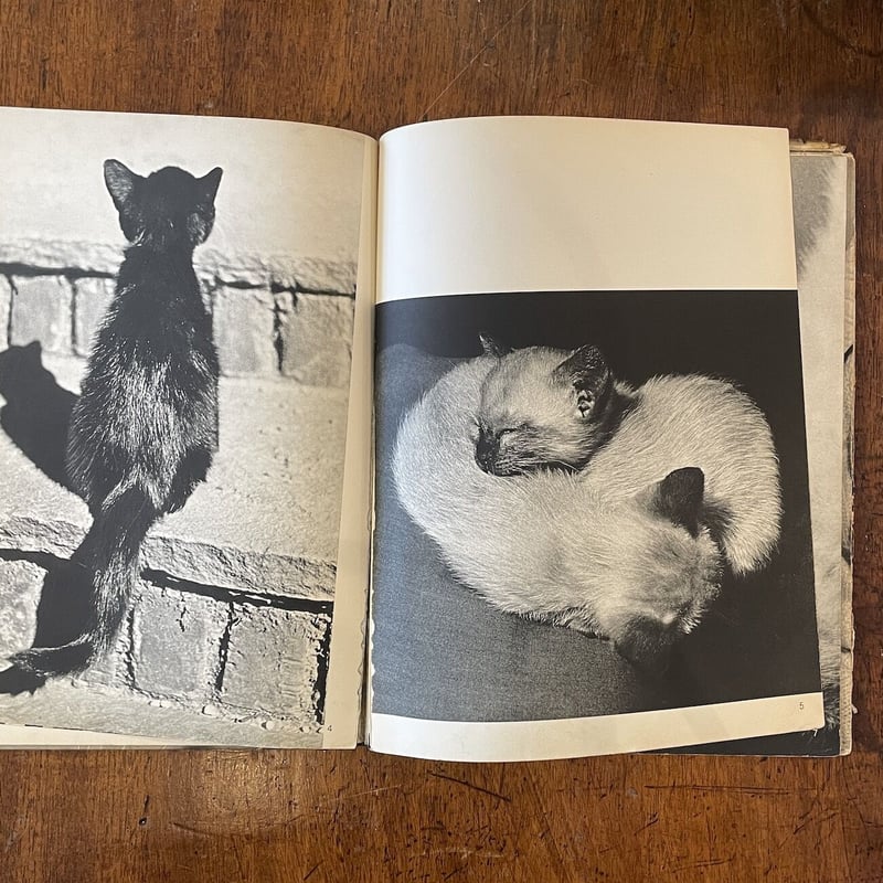 CATS」Hanns Reich Ylla（イーラ）／Jan Styczynski 他多数