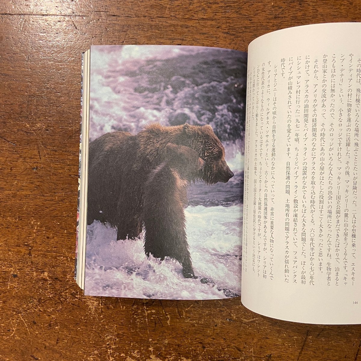 星野道夫 表現者 星野道夫 『表現者』