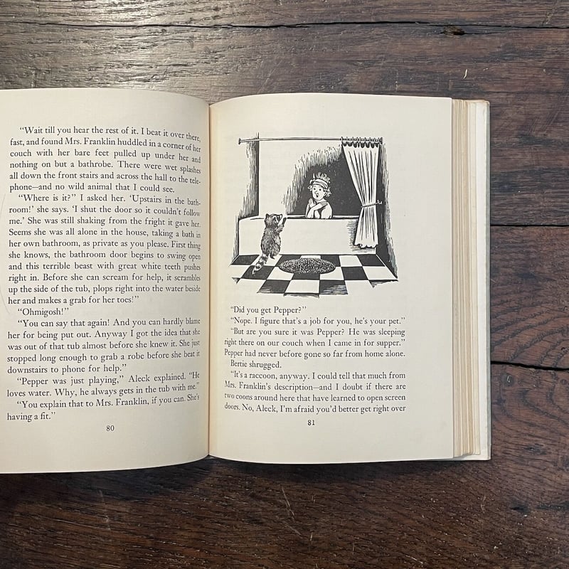 ロマンス小説の書き方 ヘレン・S・バーニハート 昭和59【初版本】 ロマンス小説の書き方(ヘレン・S.バーンハート 著 ; 久米穣