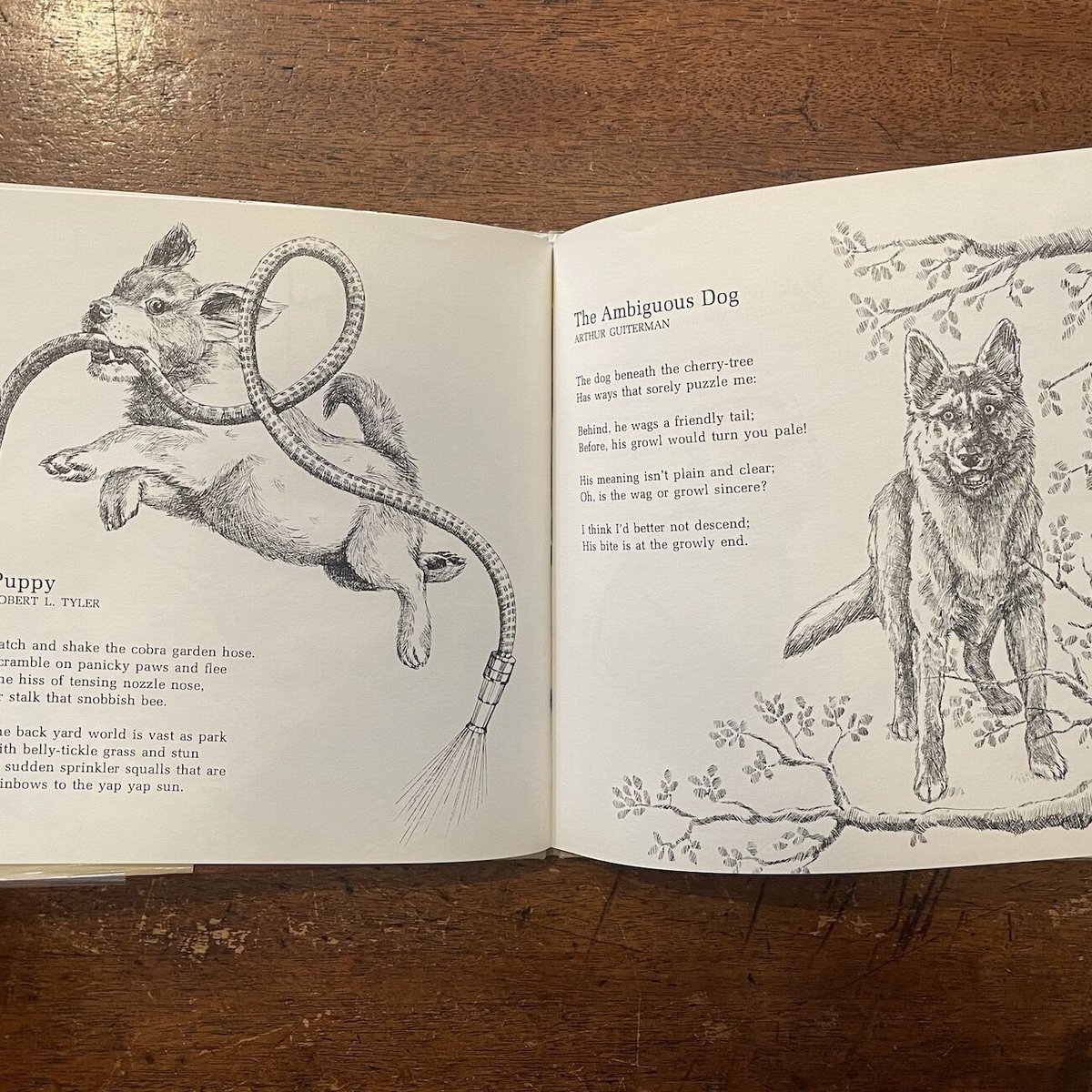 A Dog's Life」Lee Bennett Hopkins Linda Rochest