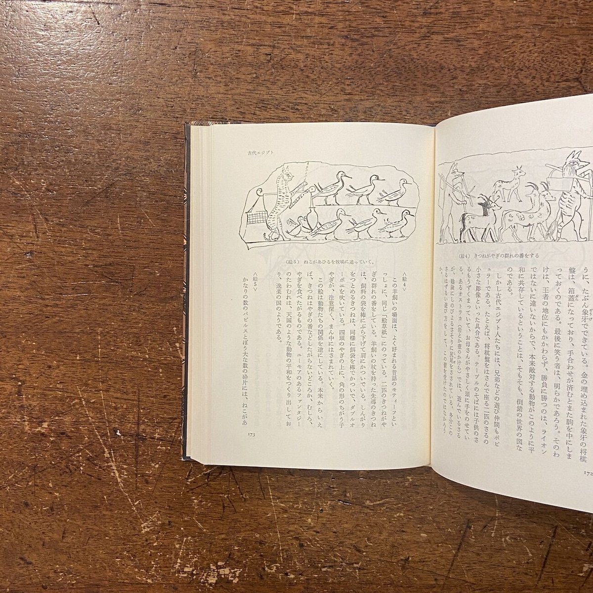 世界の民話 アフリカ（カビール／古代エジプト／西アフリカ）」小坂茂