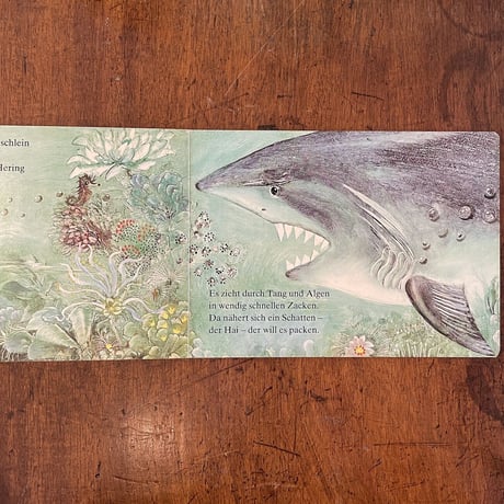 「Der tapfere kleine Fisch」Werner Lindermann　Konrad Golz
