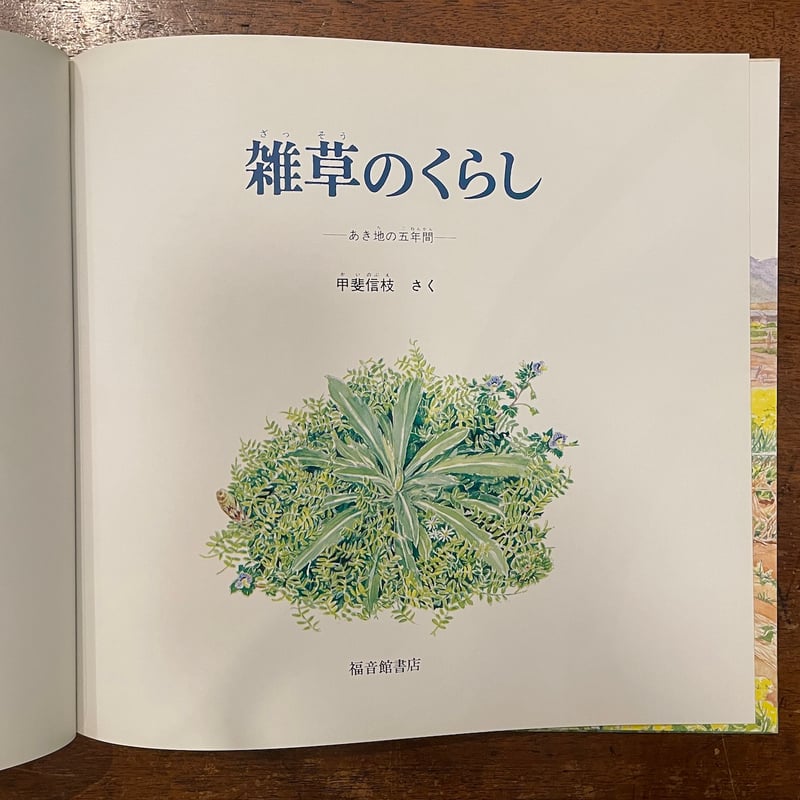 ざっそう / 甲斐信枝 / 福音館書店 M3 Amazon.co.jp: ざっそう (かがくのとも絵本) : 甲斐 信枝, 甲斐