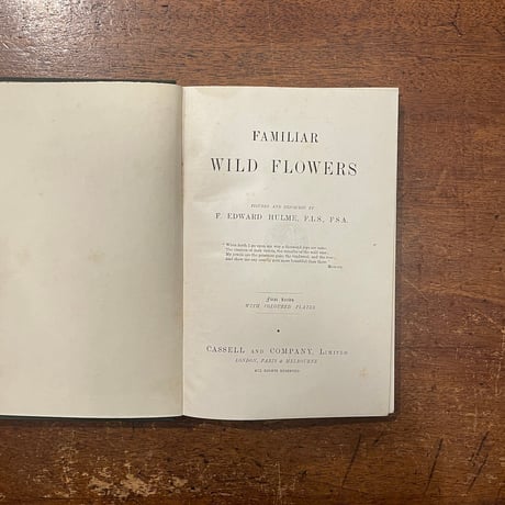 「FAMILIAR WILD FLOWERS 1（1900年頃）」F. Edward Hulme