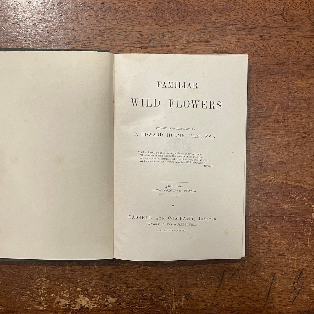 FAMILIAR WILD FLOWERS 1（1900年頃）」F. Edward Hulm