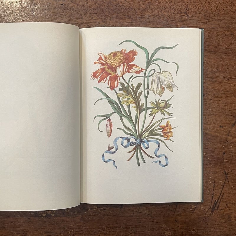 NEUES BLUMENBUCH」Maria Sibylla Merian | Frober