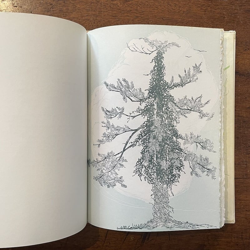 THE ENDURING COSMOS」Gwen Frostic | Frobergue