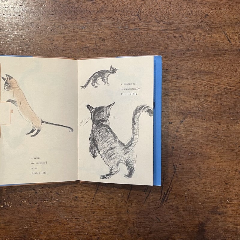 There is nothing like a cat」Rosalind Welcher（ロ