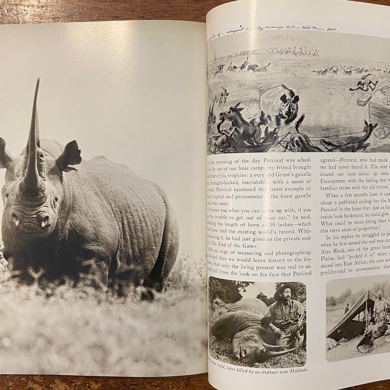 THE END OF THE GAME」Peter H. Beard | Frobergue