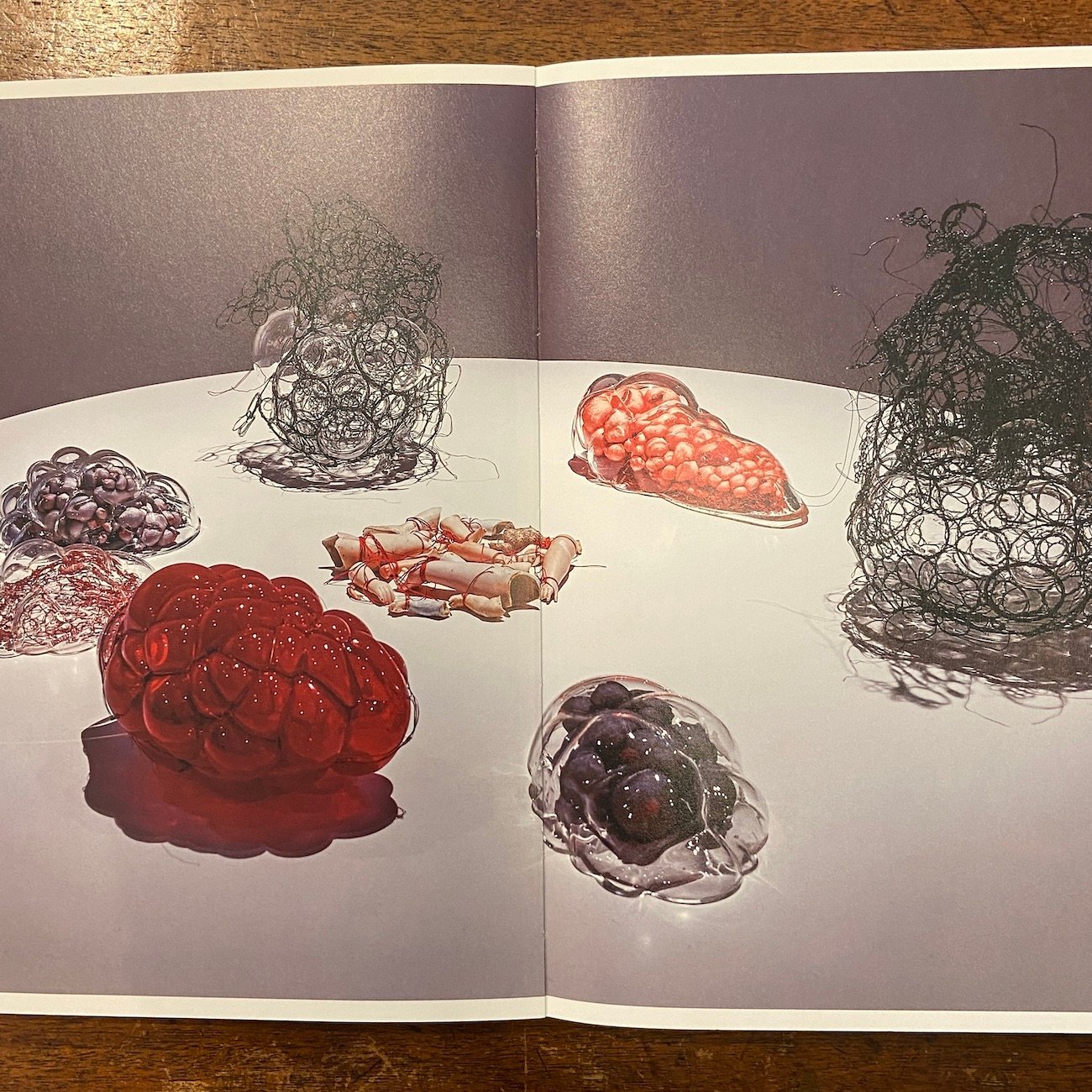 塩田千春　魂がふるえる　サイン版画 魂がふるえる 図録」塩田千春 | Frobergue online store