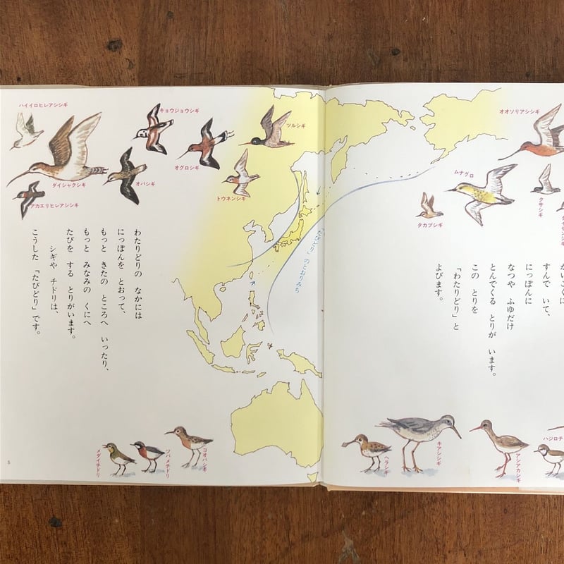 つかまえられたことりちゃん かこさとし 絵本 つかまえられたことりちゃん」かこさとし | Frobergue online store