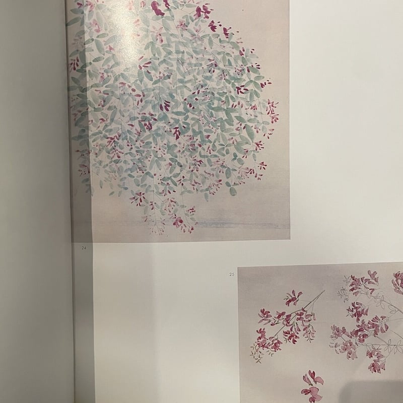値下　堀文子写生集 (1976年) 堀 文子　昭和51年　植物　花 堀文子写生集」堀文子 サイン入り | Frobergue online store