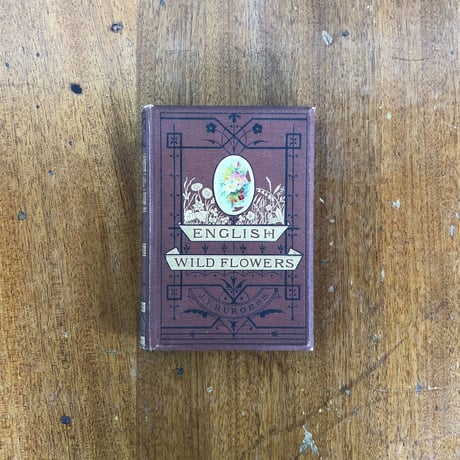 「ENGLISH WILD FLOWERS」J. T. Burgess