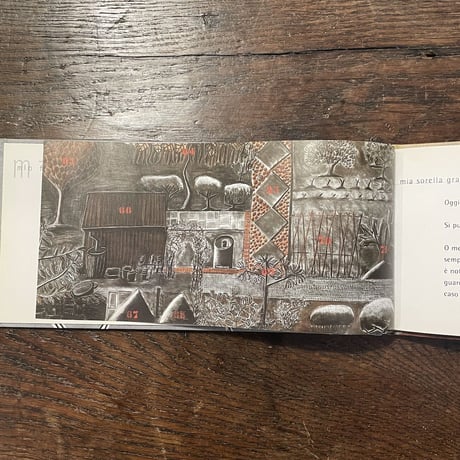「No.3」Giulia Goy　Julia Binfield