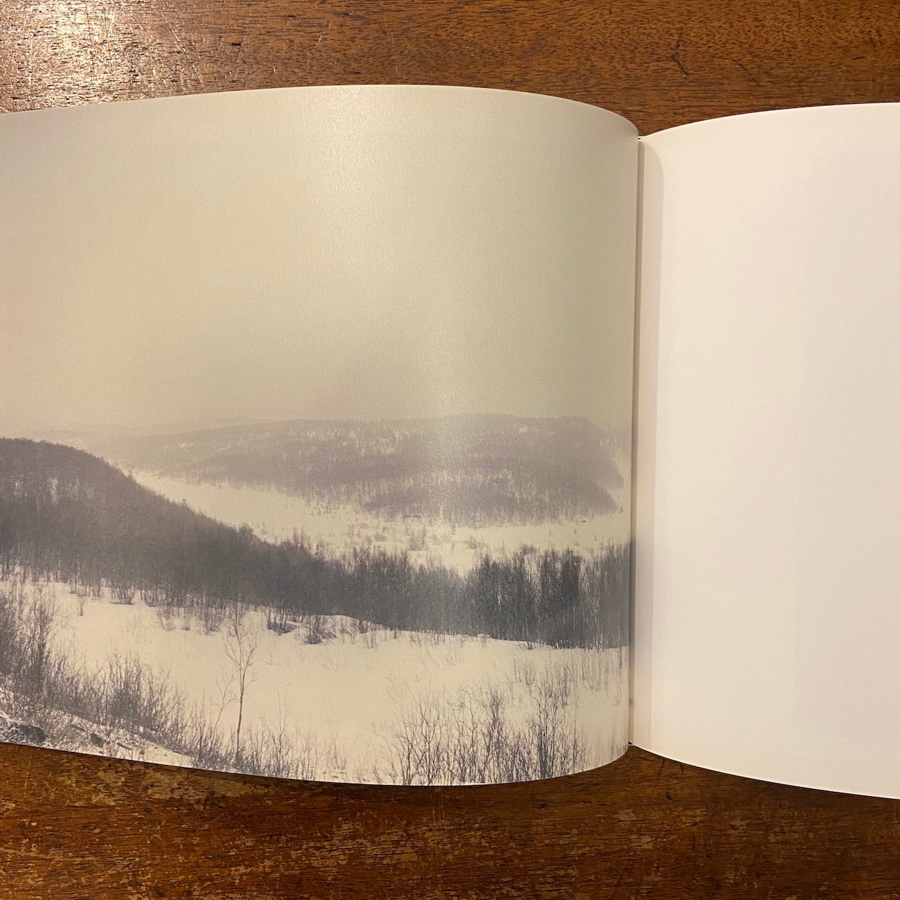Far Too Close」Martina Hoogland Ivanow | Frobergue online store