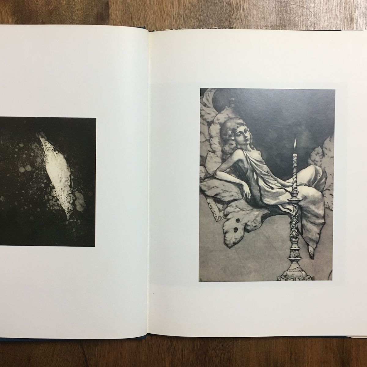 アクエリアム 東逸子 画集 アクエリアム―東逸子画集 (1982年) |本 | 通販 | Amazon