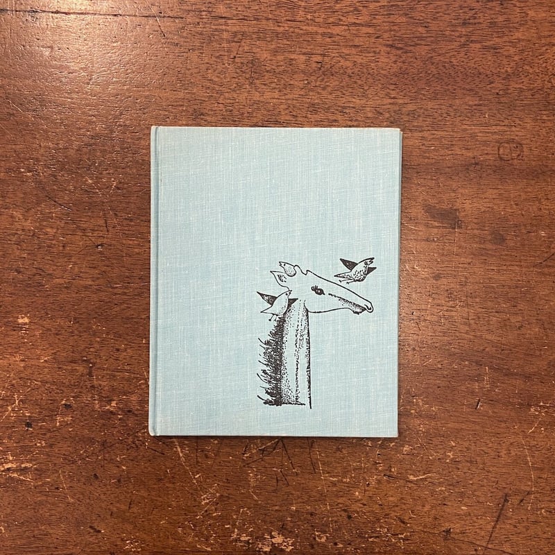 洋書 WEIRD AND WONDERFUL SHIPS By Graeme Cook 洋書 WEIRD AND