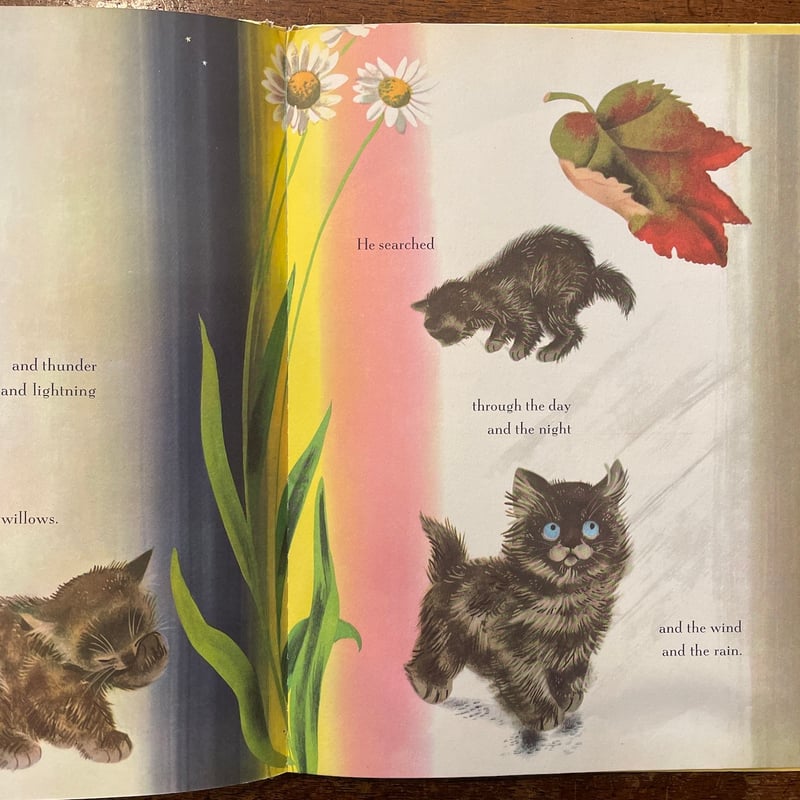 Pussy Willow」Margaret Wise Brown（マーガレット・ワイズ・ブラ
