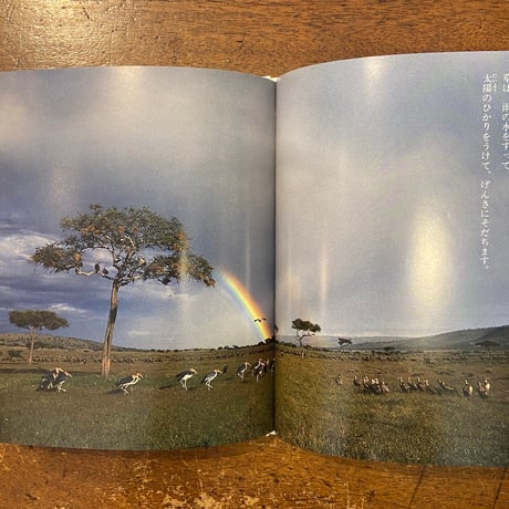 「かおるのアフリカ日記」いわごうひでこ 文　いわごうみつあき 写真